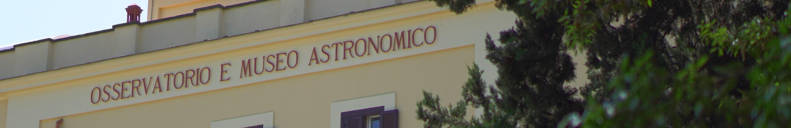 Oltre vent’anni di responsabilità scientifica