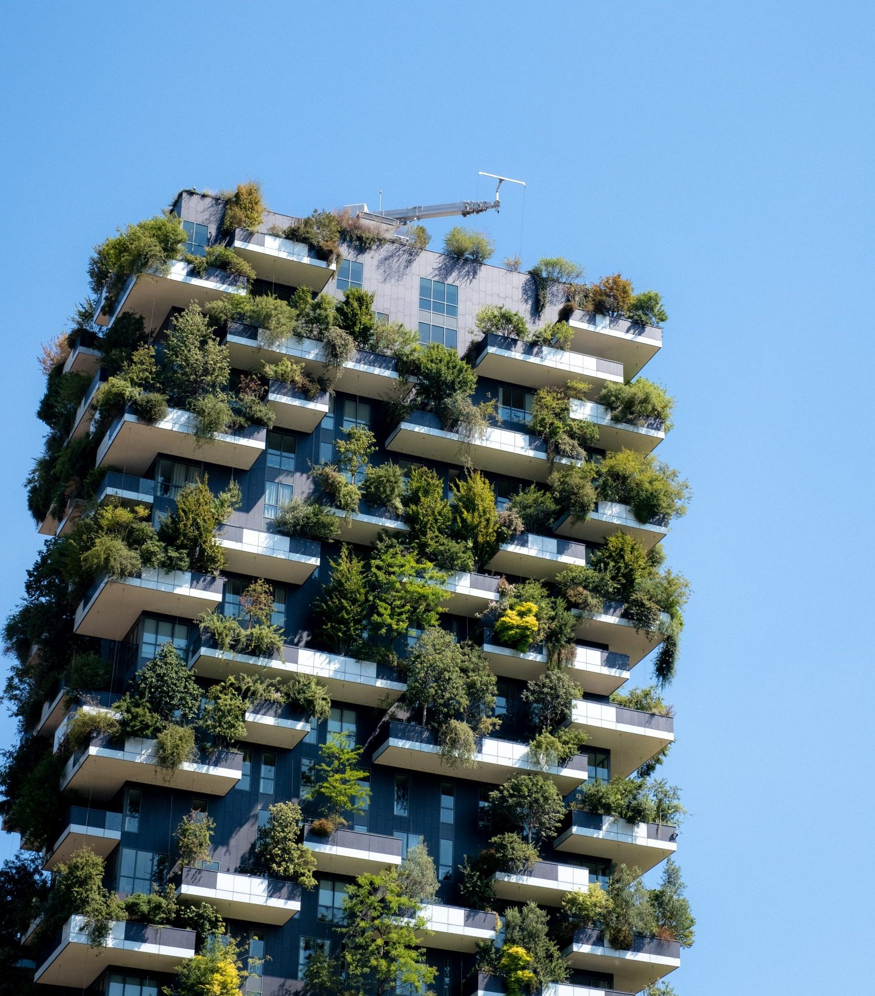 Maia, una missione per l’inquinamento e la salute