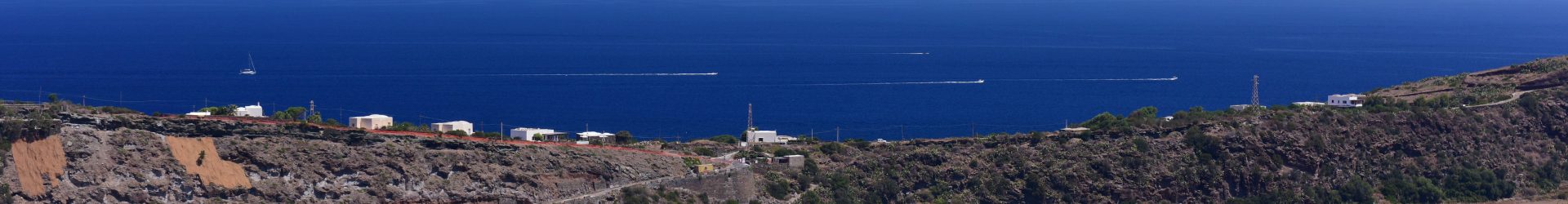 Da Darwin al Mediterraneo: le origini della vita