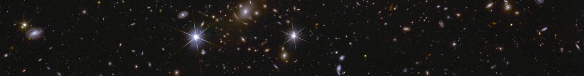 Euclid e le lenti gravitazionali forti